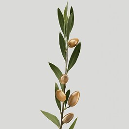 Silk Bloom - Máscara Reparadora